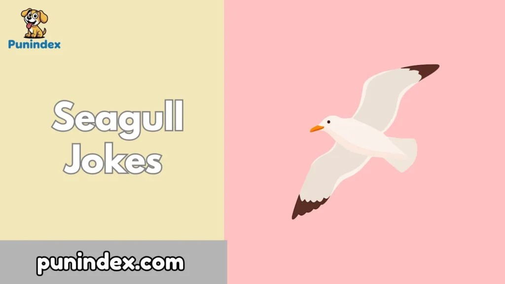 Seagull Jokes