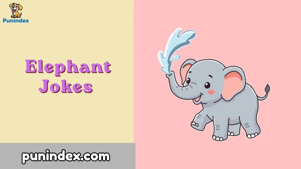 Elephant Jokes