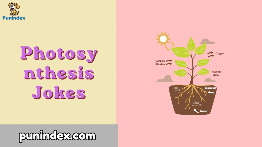 Photosynthesis Jokes