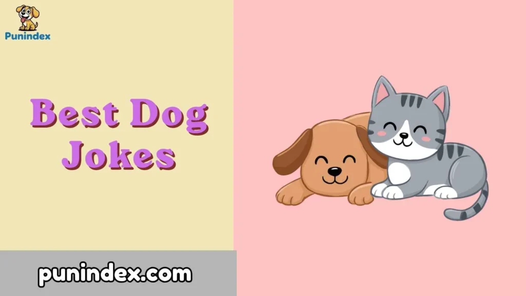 Best Dog Jokes