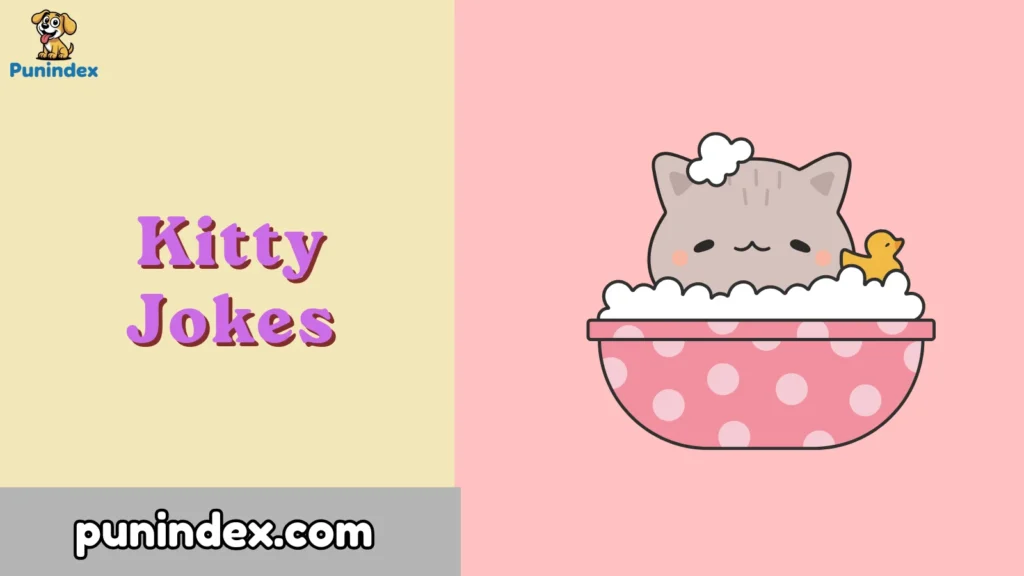 Kitty Jokes