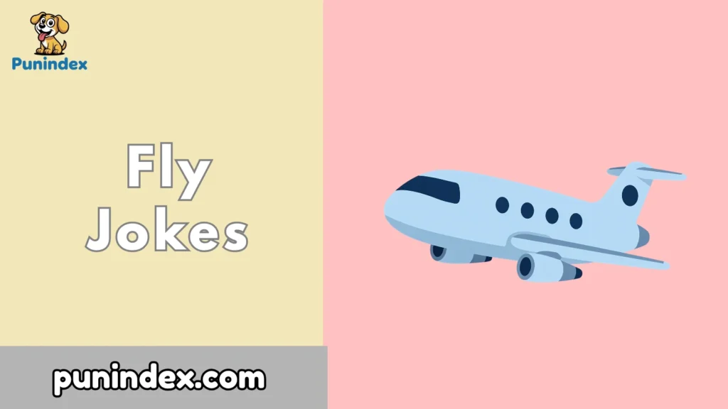 Fly Jokes