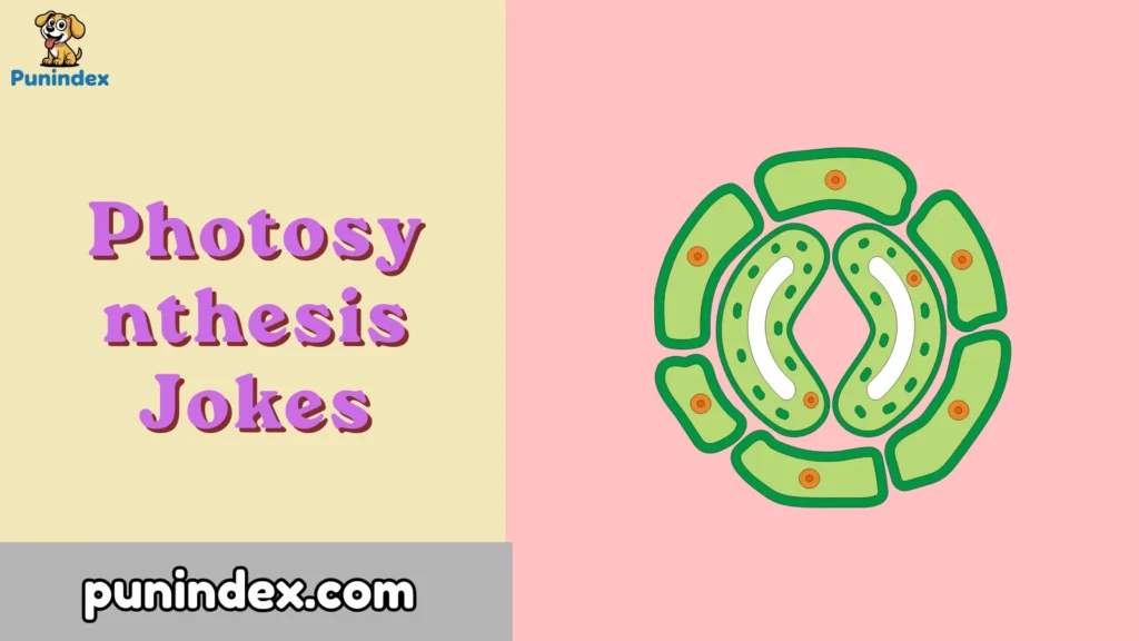 Photosynthesis Jokes