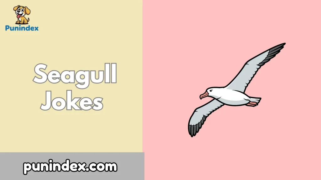 Seagull Jokes