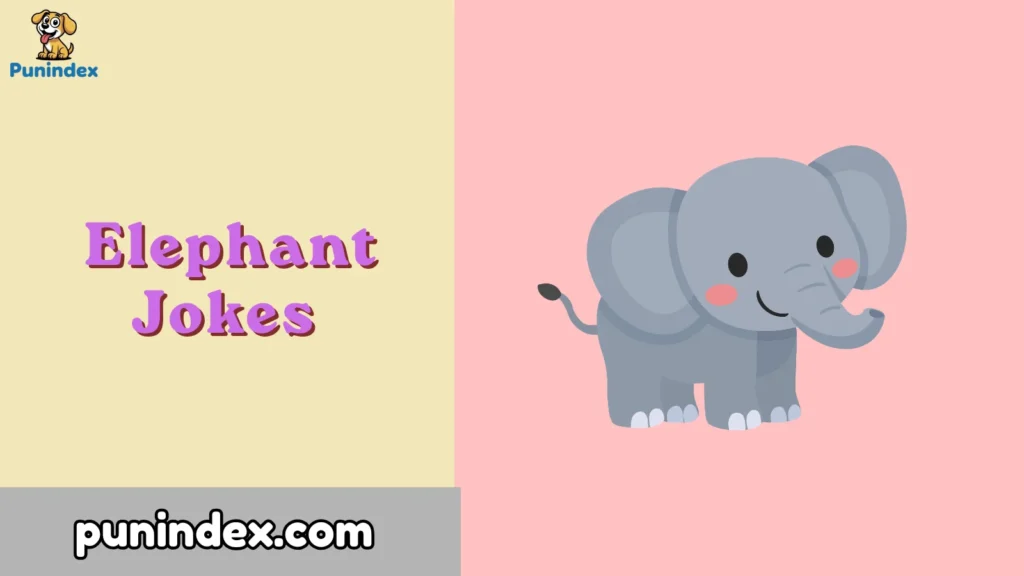 Elephant Jokes 