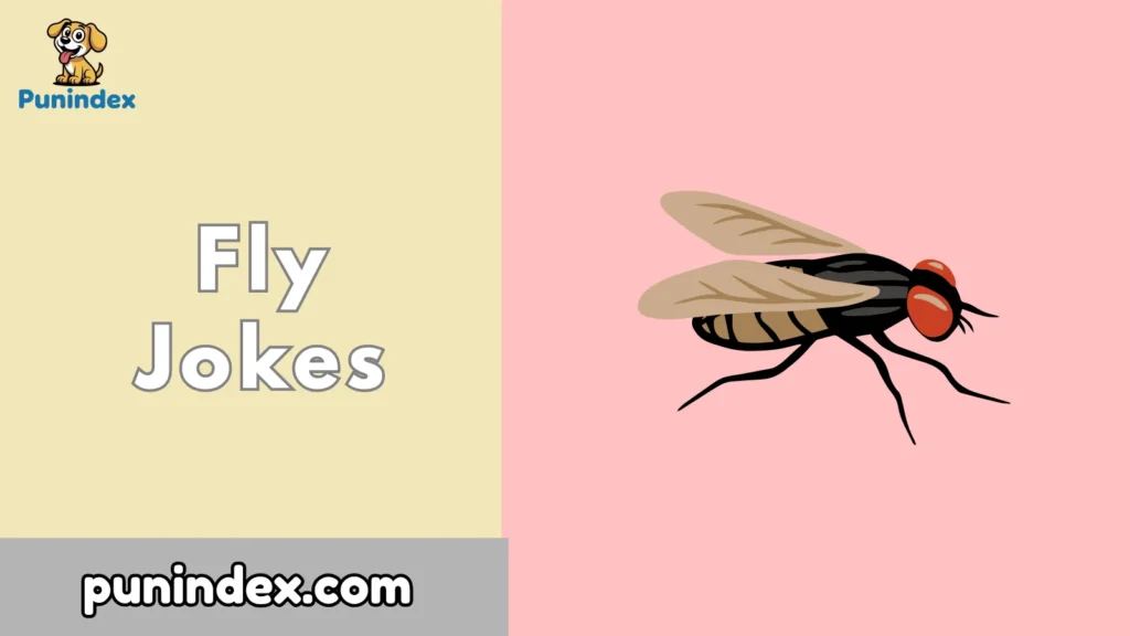 Fly Jokes