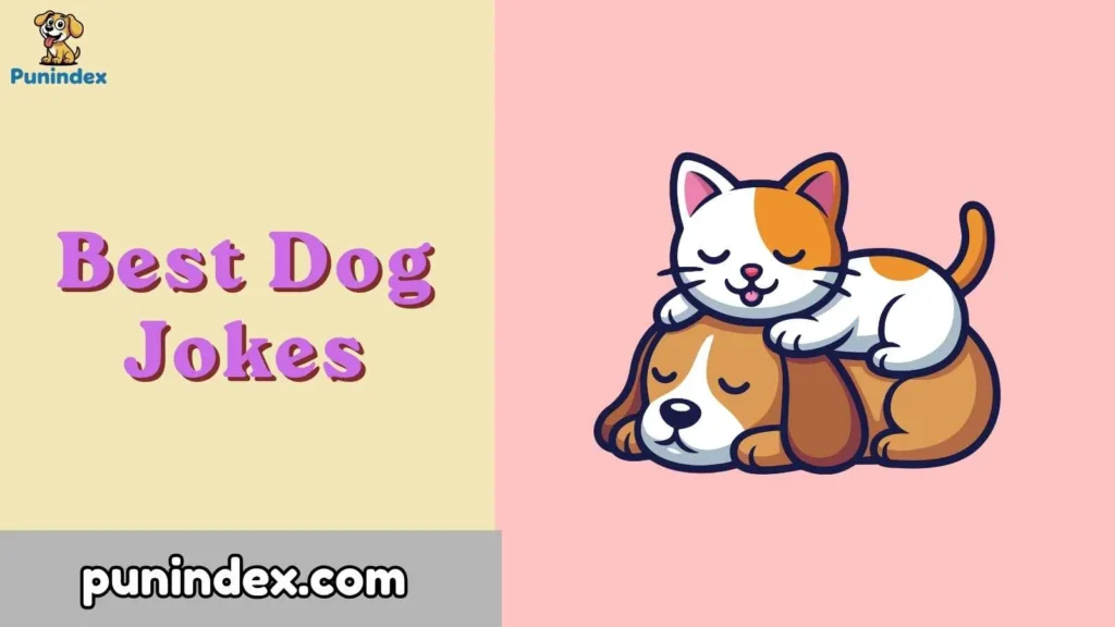 Best Dog Jokes