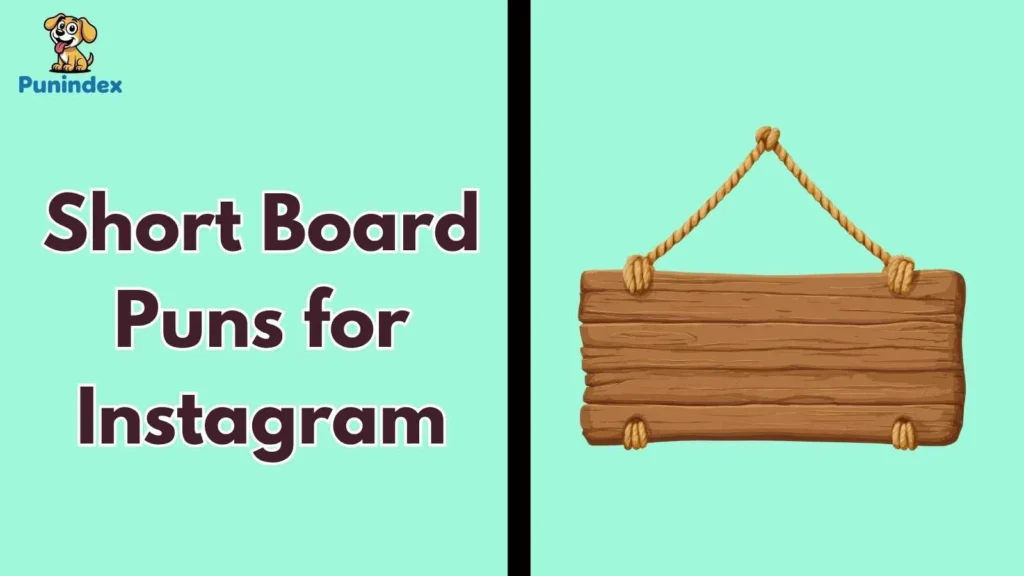 Short Board Puns for Instagram