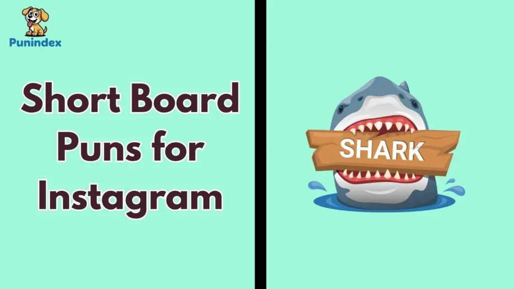 Short Board Puns for Instagram