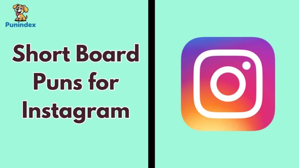 Short Board Puns for Instagram