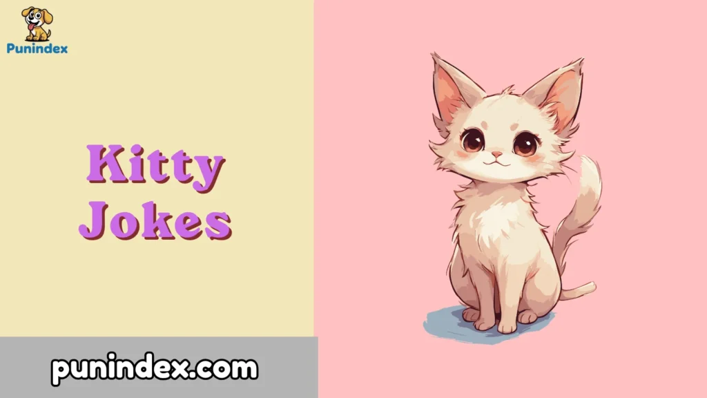 Kitty Jokes