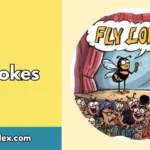Fly Jokes