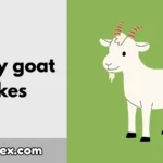 Funny goat jokes