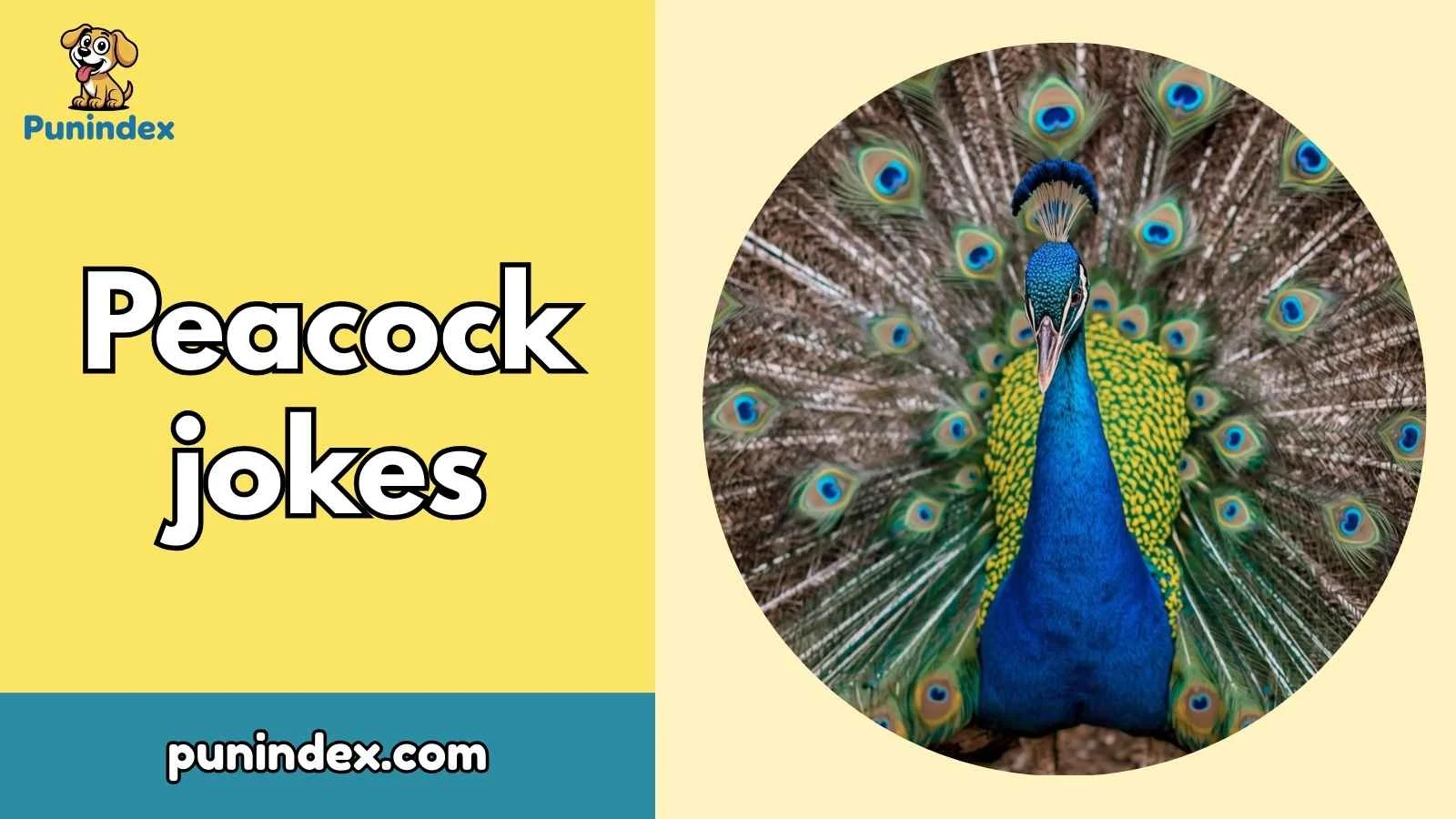 Peacock jokes