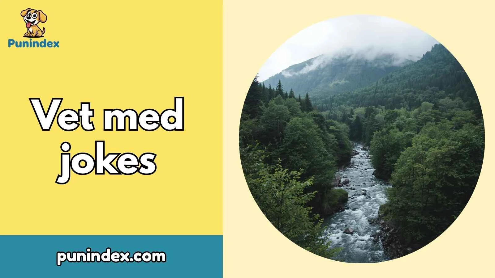 Vet med jokes