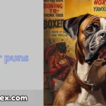 Boxer puns