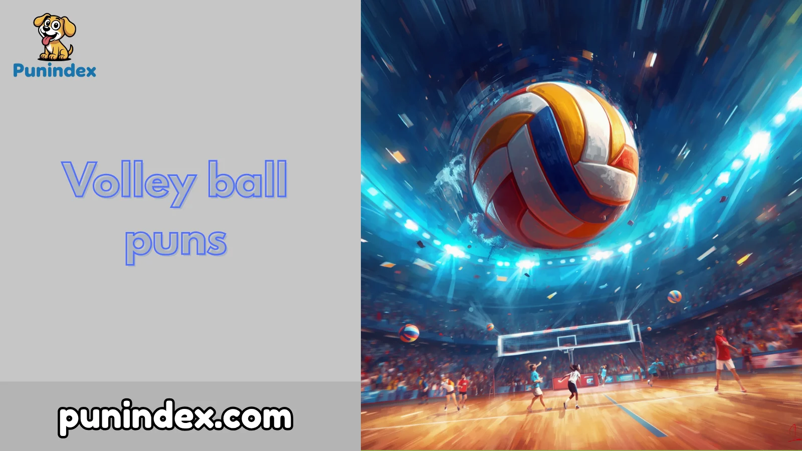 Volley ball puns
