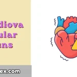 Cardiovascular Puns