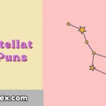 Constellation Puns