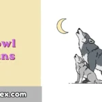 Howl Puns
