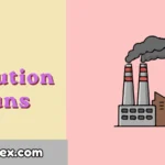 Pollution Puns