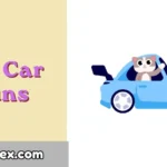 Cat Car Puns