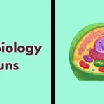 Cell Biology Puns