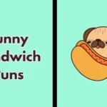 Funny Sandwich Puns